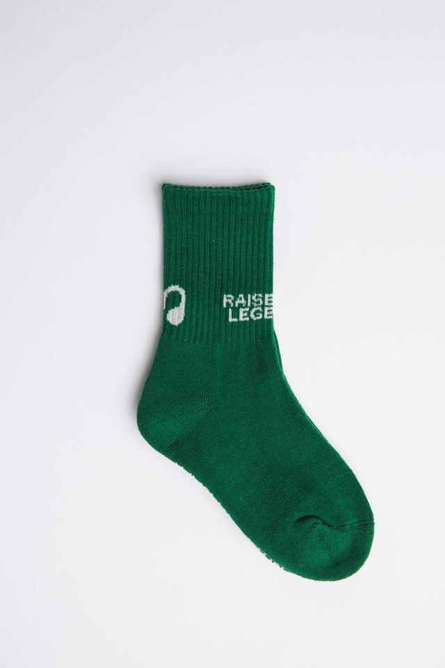 Raised By Legends Socks